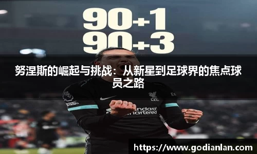 努涅斯的崛起与挑战：从新星到足球界的焦点球员之路